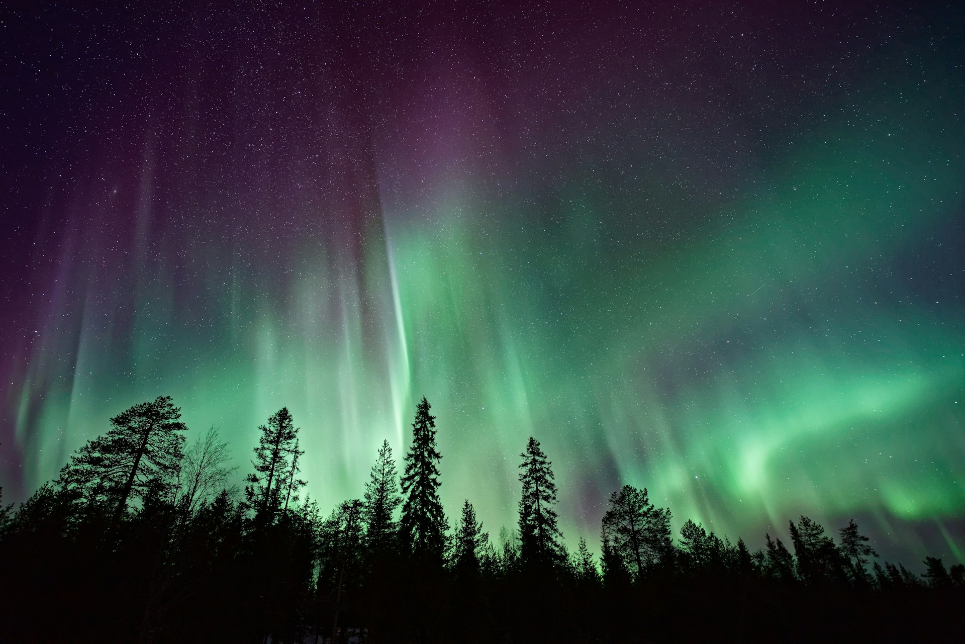 Nordic landscape